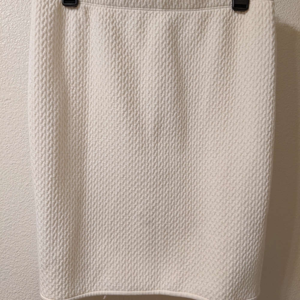 Max Studio Skirt